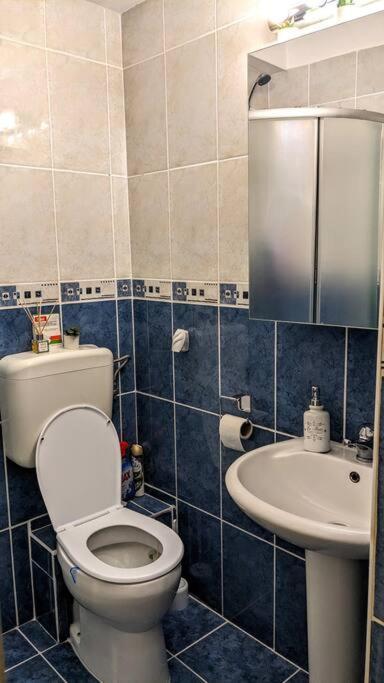 Cosy One Bedroom Flat With Free Parking & Wifi Kluż-Napoka Zewnętrze zdjęcie